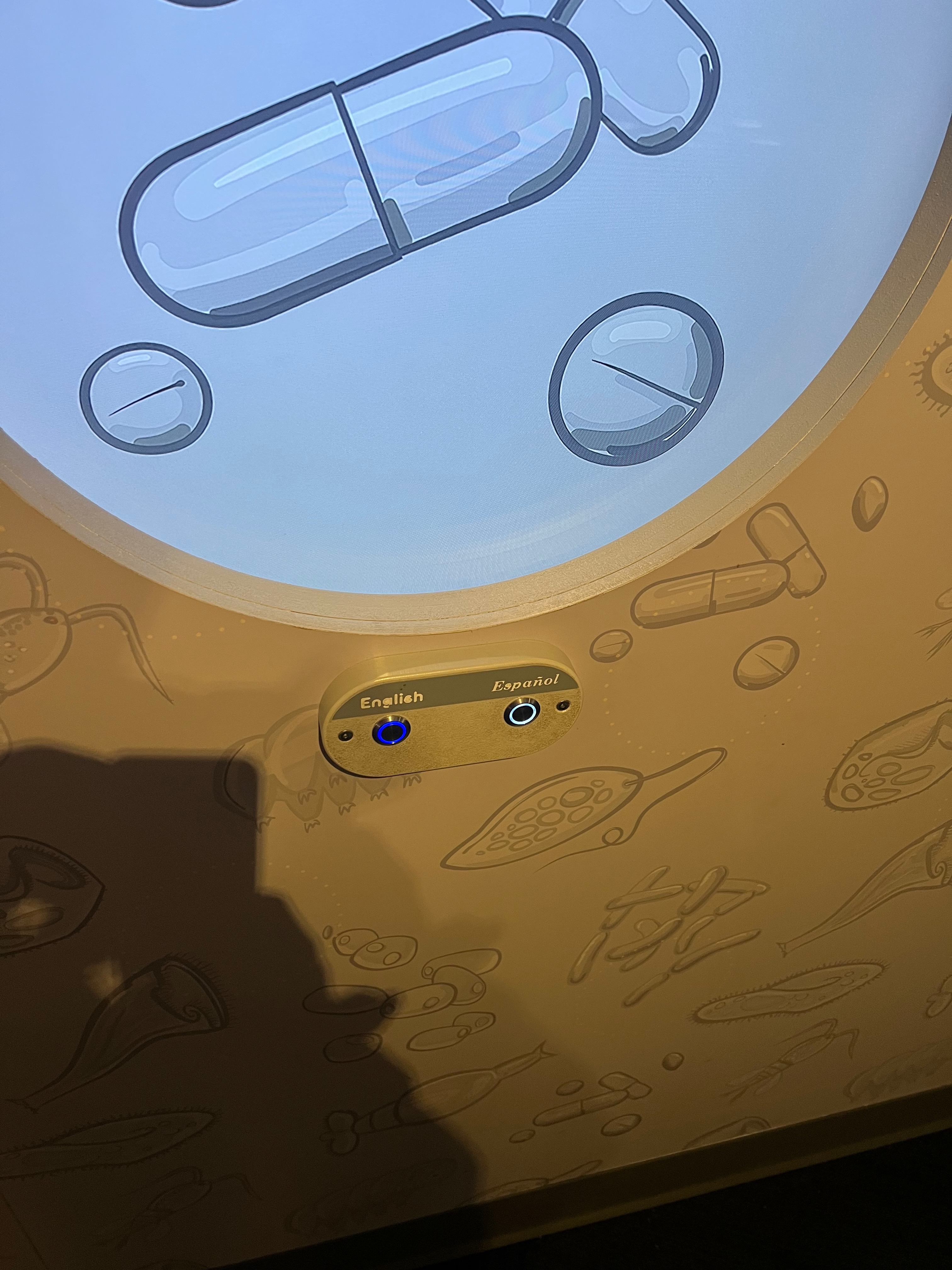 English vs spanish sloppy build